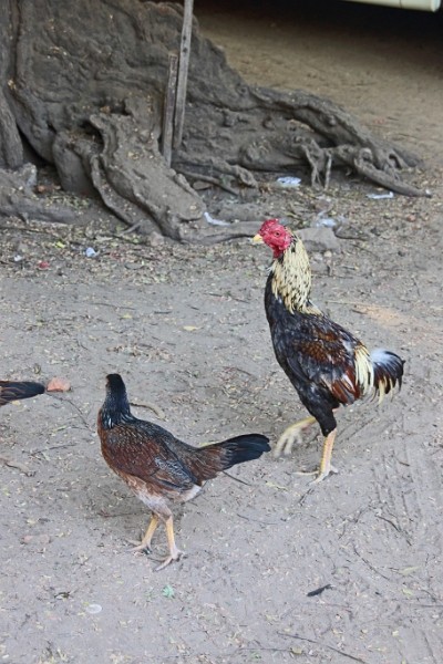 07-11_bagan_024.jpg