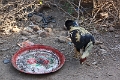07-11_bagan_018