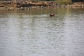 08_navigation_018