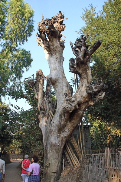 09_hnaw-gone_020.jpg