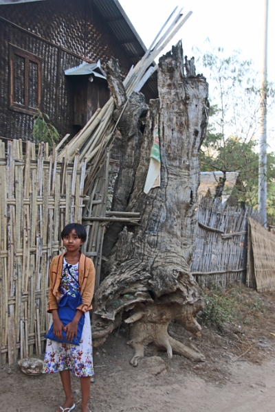 09_hnaw-gone_038.jpg