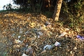 09_hnaw-gone_044