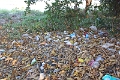 09_hnaw-gone_047