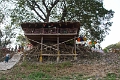 11_01_ava_001