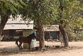 11_01_ava_014