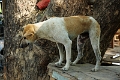 11_01_ava_020