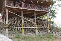 11_01_ava_023