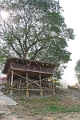 11_01_ava_024