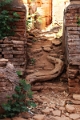 18_07_pagode-monastere_019
