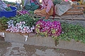 18_10_marche-napan_012