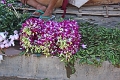 18_10_marche-napan_013