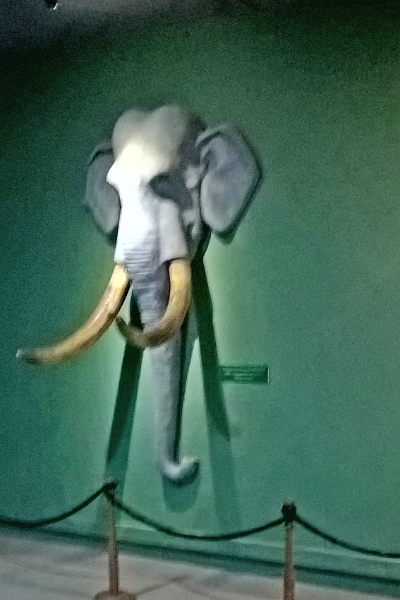 19_musee-national_062.jpg
