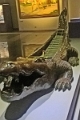19_musee-national_016