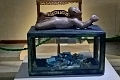 19_musee-national_051