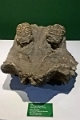 19_musee-national_063